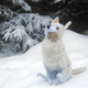 Illustration for article titled Plush Jon Snow is the best emGame of Thrones/em toy weve ever seen